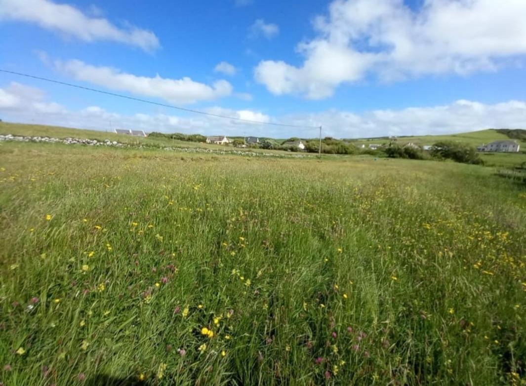 Villa Wild Meadow Huts Doolin Exterior foto