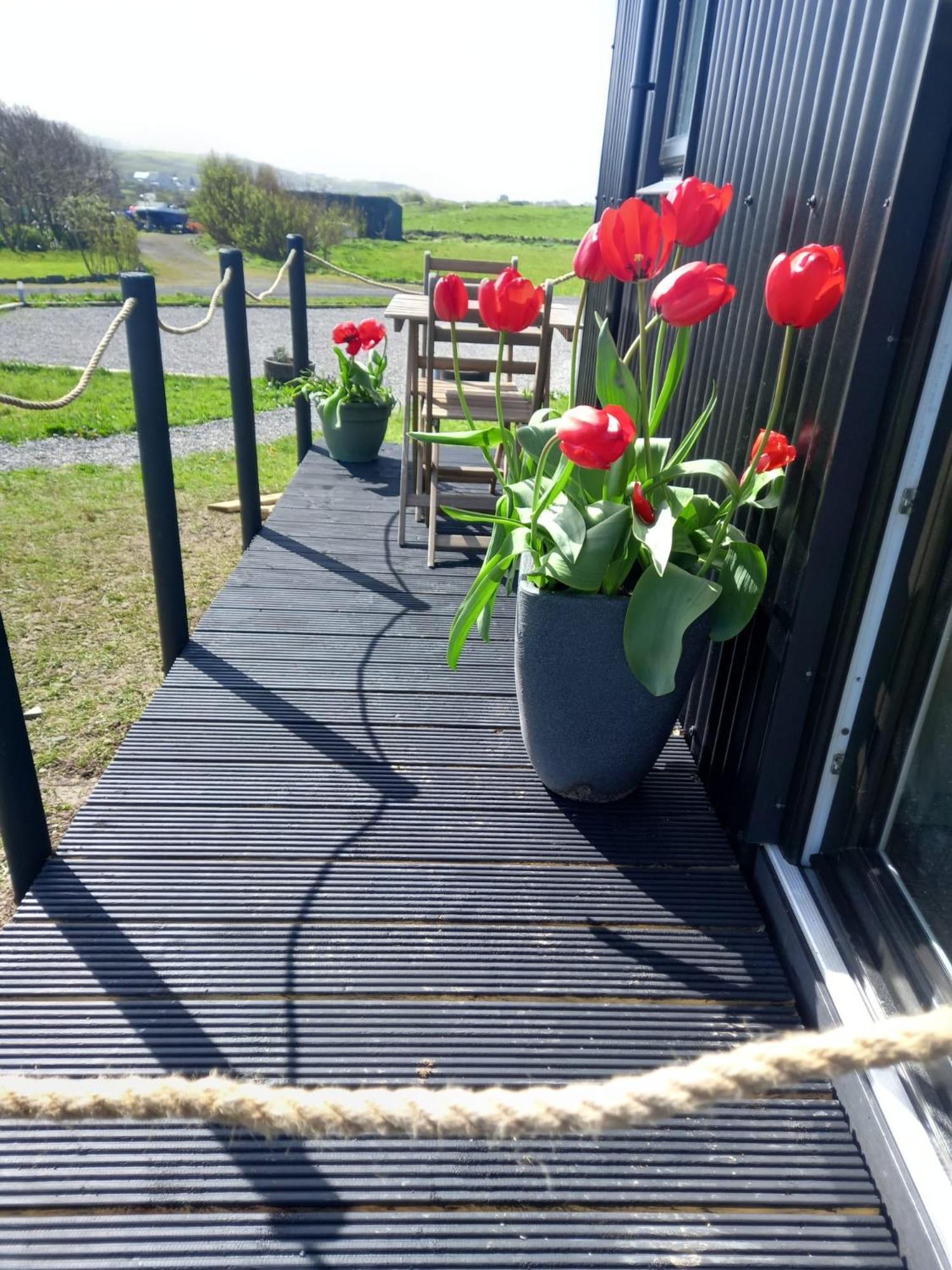 Villa Wild Meadow Huts Doolin Exterior foto