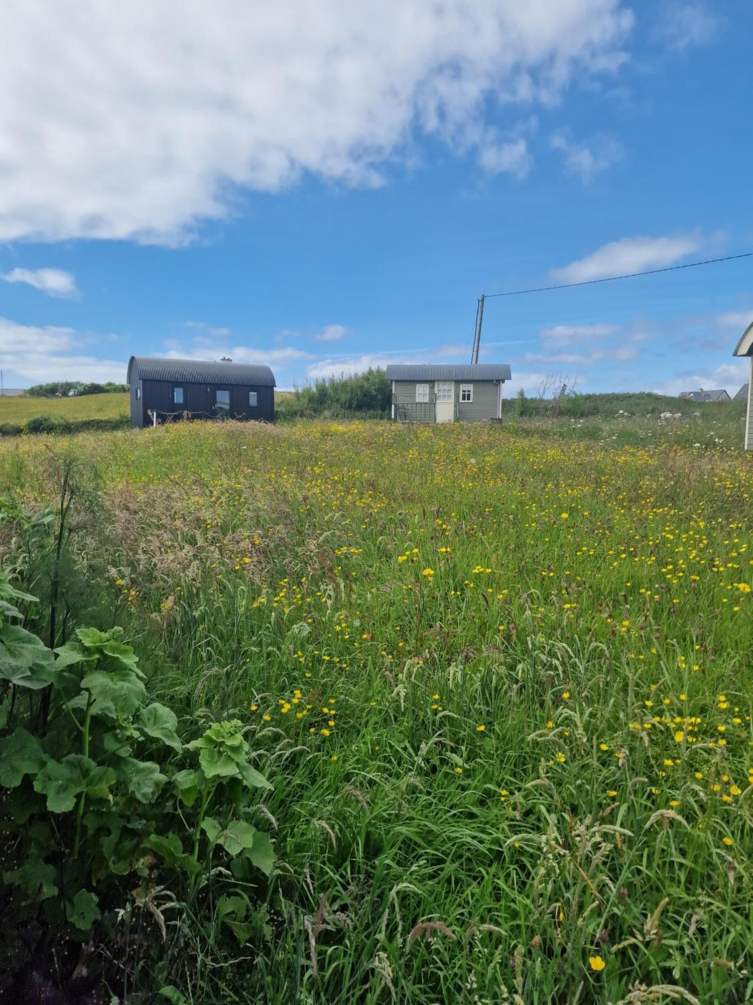 Villa Wild Meadow Huts Doolin Exterior foto