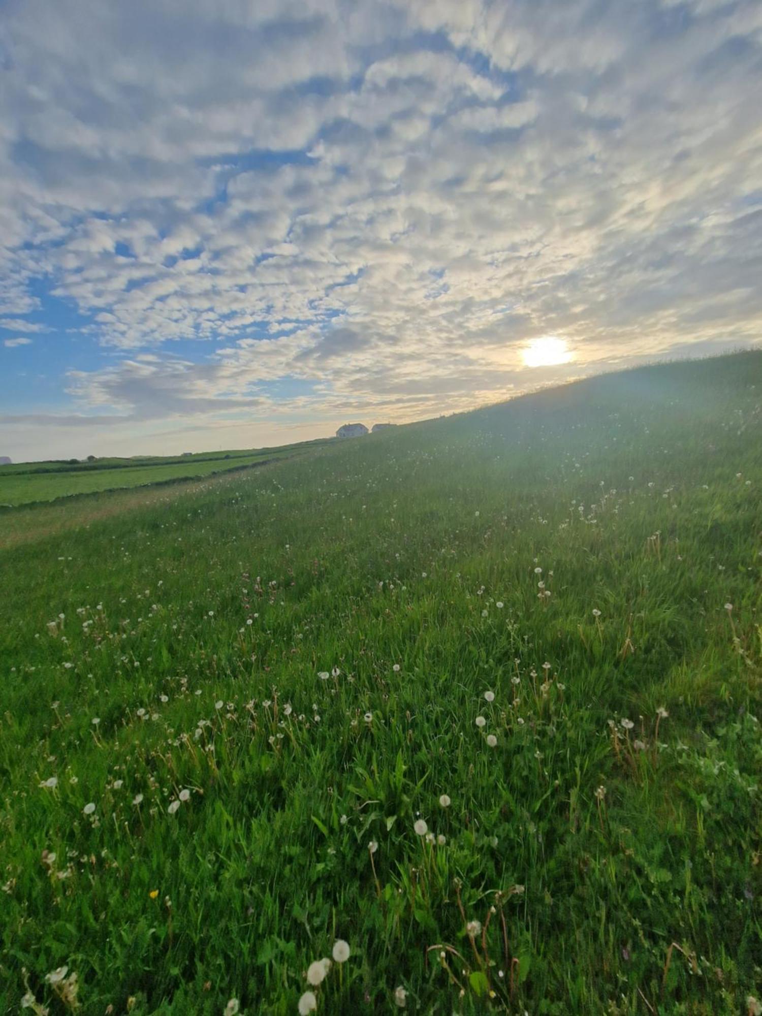 Villa Wild Meadow Huts Doolin Exterior foto