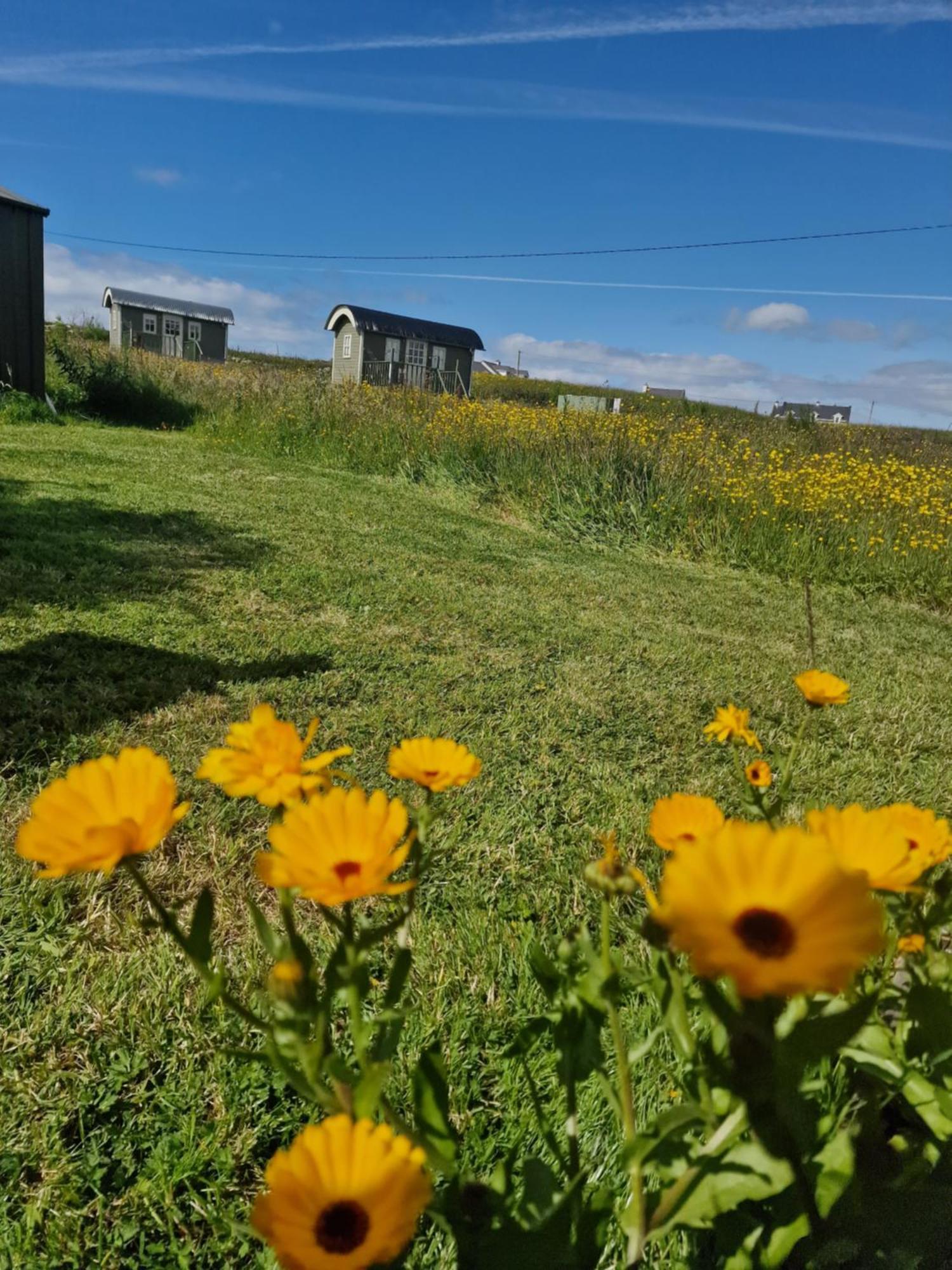 Villa Wild Meadow Huts Doolin Exterior foto