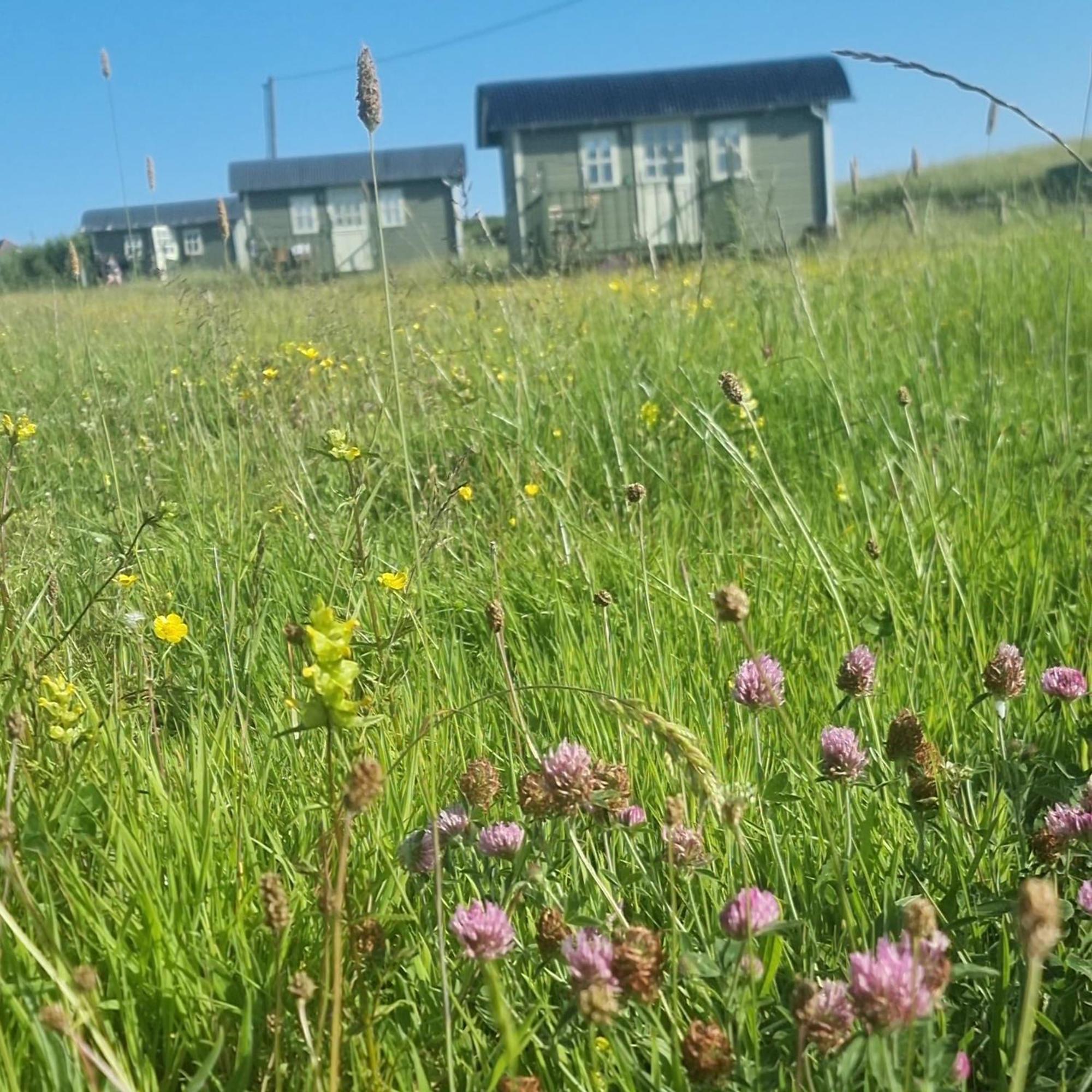 Villa Wild Meadow Huts Doolin Exterior foto
